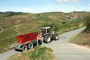 burgundy wine tour from lyon