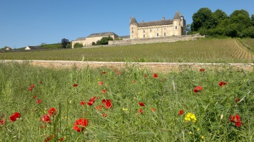 burgundy wine tour from lyon