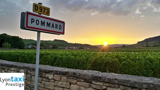 Pommard village and vineyards