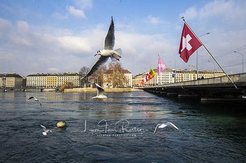 Geneva Lake Switzerland